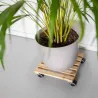 Support à roulettes en bois pour plantes d'intérieur
