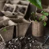 Pots de plantation bio sans tourbe