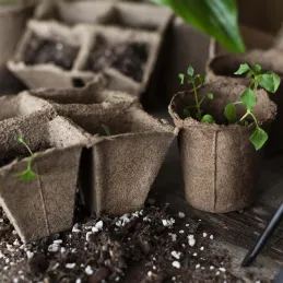 Pots de plantation bio sans tourbe
