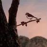 Oiseau sur pique pouillot des canaris en acier corten