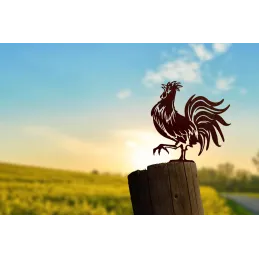 Oiseau sur pique coq gaulois emblème de la France