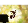 Oiseau sur pique troglodyte mignon en acier corten
