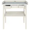 Table de jardinage en pin et zinc
