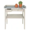 Table de jardinage en pin et zinc