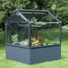 Carré potager avec serre Basic air