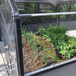 Carré potager avec serre Basic air