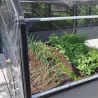 Carré potager avec serre Basic air