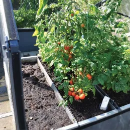 Carré potager avec serre Basic air