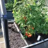 Carré potager avec serre Basic air