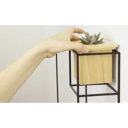 Etagère design avec jardinière