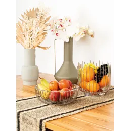 Coupe de fruits design Wire