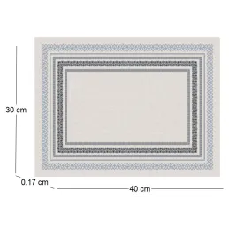Set de table en vinyle 40 x 30 cm (Lot de 6)