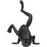 Cale porte en fonte grenouille