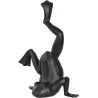 Cale porte en fonte grenouille