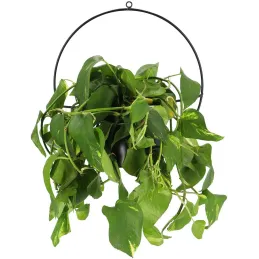 Jardinière déco ronde d'intérieur en métal noir