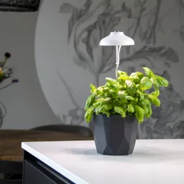 Lampe de croissance pour plantes ampoule led