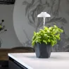 Lampe de croissance pour plantes ampoule led