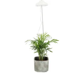 Lampe de croissance pour plantes ampoule led