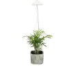 Lampe de croissance pour plantes ampoule led