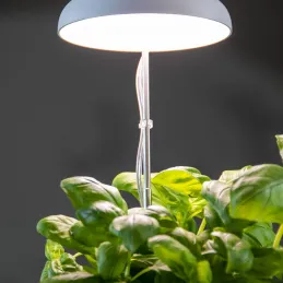 Lampe de croissance pour plantes ampoule led