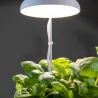 Lampe de croissance pour plantes ampoule led
