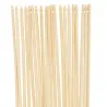 Tuteur en bambou pour plantes 50 cm (Lot de 20)