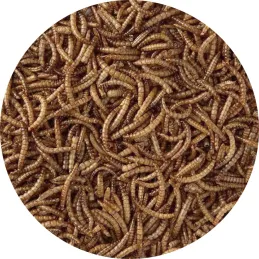 Vers de farine séchés 125 gr