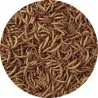 Vers de farine séchés 125 gr