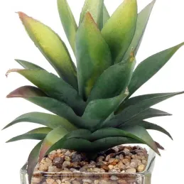Plantes artificielles dans pot en verre 6.5 x 6.5 x 17 cm (Lot de 3)