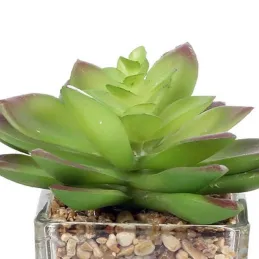 Plantes artificielles dans pot en verre 6.5 x 6.5 x 17 cm (Lot de 3)