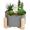 Bouddha avec plantes succulentes 16 x 14 cm