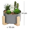 Bouddha avec plantes succulentes 16 x 14 cm