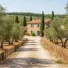 Bordure en noisetier