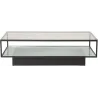 Table basse en verre et acier Maglehem