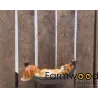 Ecureuil rigolo en résine