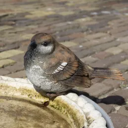 Moineau debout en résine