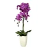 Orchidée fuchsia en pot blanc