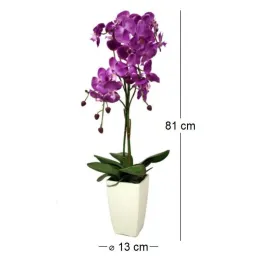 Orchidée fuchsia en pot blanc