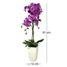Orchidée fuchsia en pot blanc