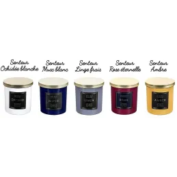 Bougie parfumée couvercle en métal Fragrance 9 cm (Lot de 5)