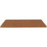 Paillasson en coco et PVC 60 x 40 cm