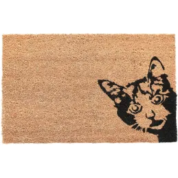 Paillasson en coco et PVC 60 x 40 cm