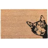 Paillasson en coco et PVC 60 x 40 cm