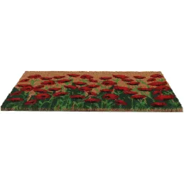 Paillasson en coco et PVC 60 x 40 cm