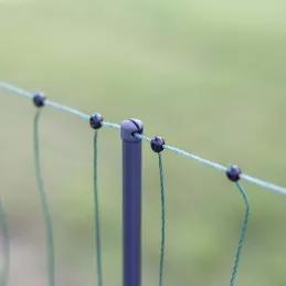 Filet à volaille double pointe Premium 106 cm