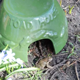 Abri crapaud en céramique