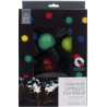Guilande extérieure 10 ampoules LED 2.70 m