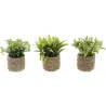 Plante artificielle avec pot tressé (Lot de 3)