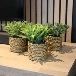 Plante artificielle avec pot tressé (Lot de 3)
