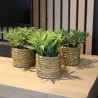 Plante artificielle avec pot tressé (Lot de 3)